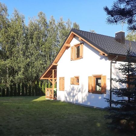 Domek Caloroczny Nad Jeziorem Budzislawskim, Wielkopolska Na Wynajem Anastazewo エクステリア 写真